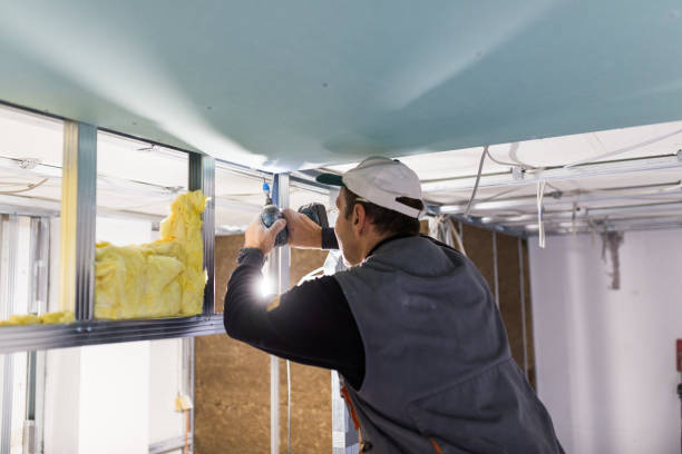 Best Blown-in Insulation in Zebulon, NC
