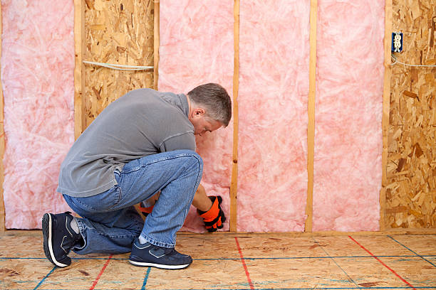 Best Insulation Maintenance and Repair in Zebulon, NC